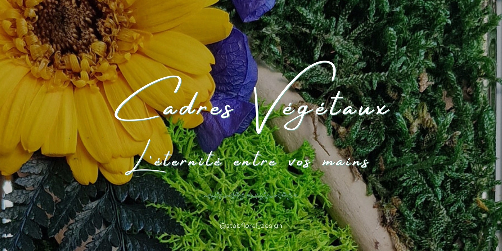 Cadres Végétaux - Stabfloral Design