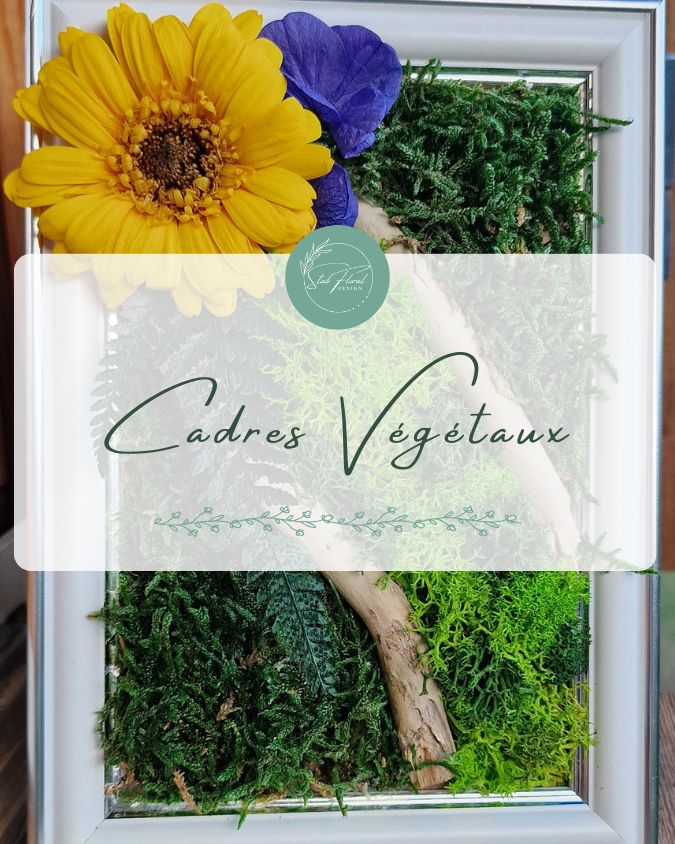 Composition de cadres végétaux